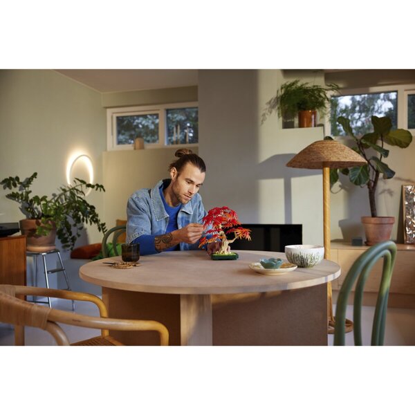 LEGO Colecția Botanică 10348 Bonsaiboompje Japonez Esdoorn<br>