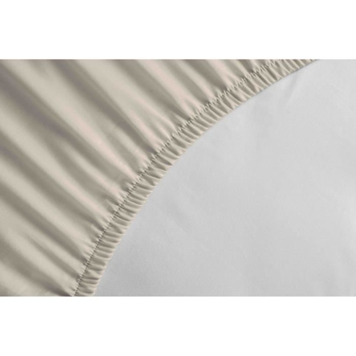 Lenzuolo con angoli elasticizzati - HOME LINGE PASSION - 160x200 cm - 100% cotone 57 fili - Beige avorio