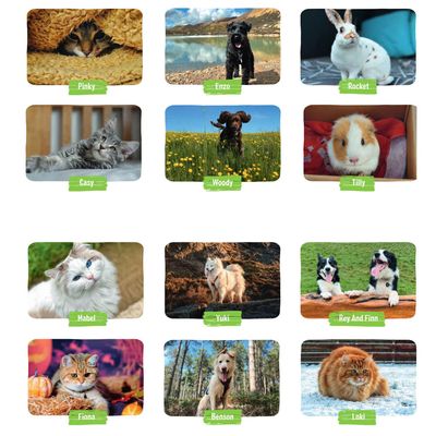 zooplus UK Kalender 2024