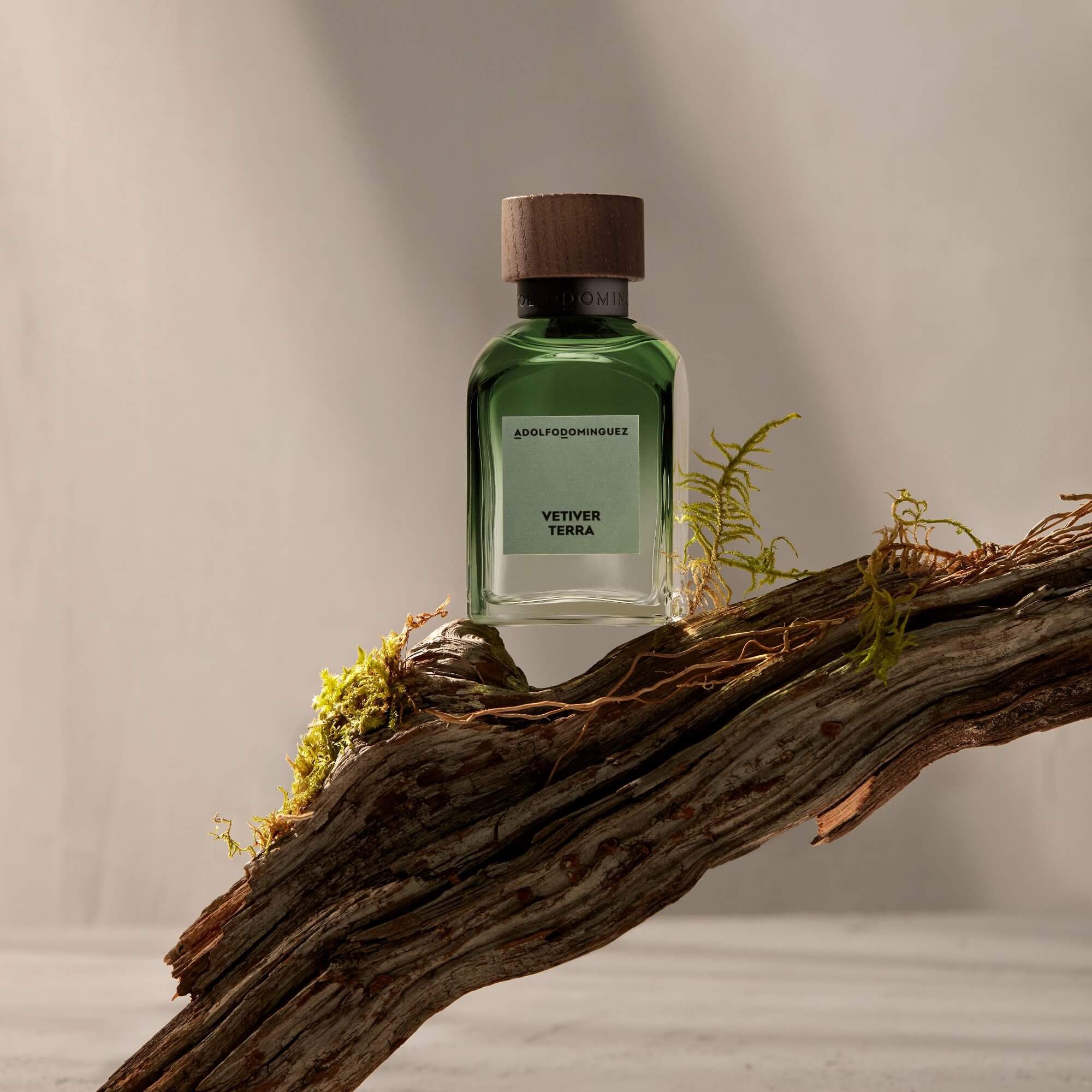 Vetiver Terra EDP Parfemi za muškarce