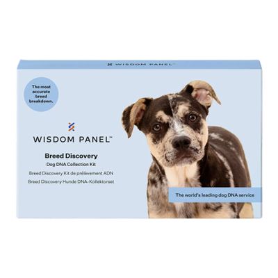 Test DNA dla psów Wisdom Panel™ Breed Discovery
