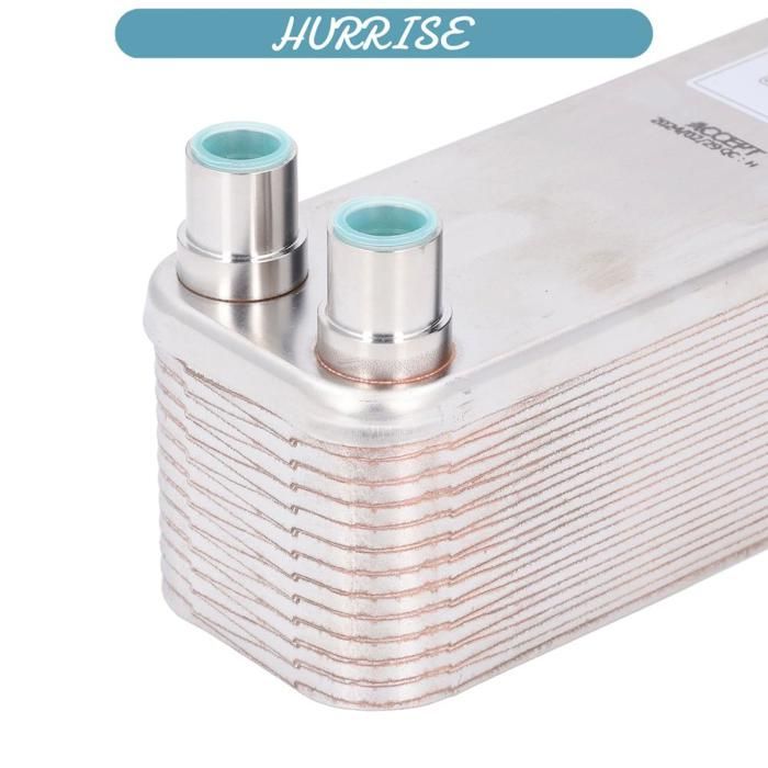 Sonew Refroidisseur de moût de bière Échangeur de Chaleur à Plaques, Refroidisseur de Moût brasé en Acier table accessoire