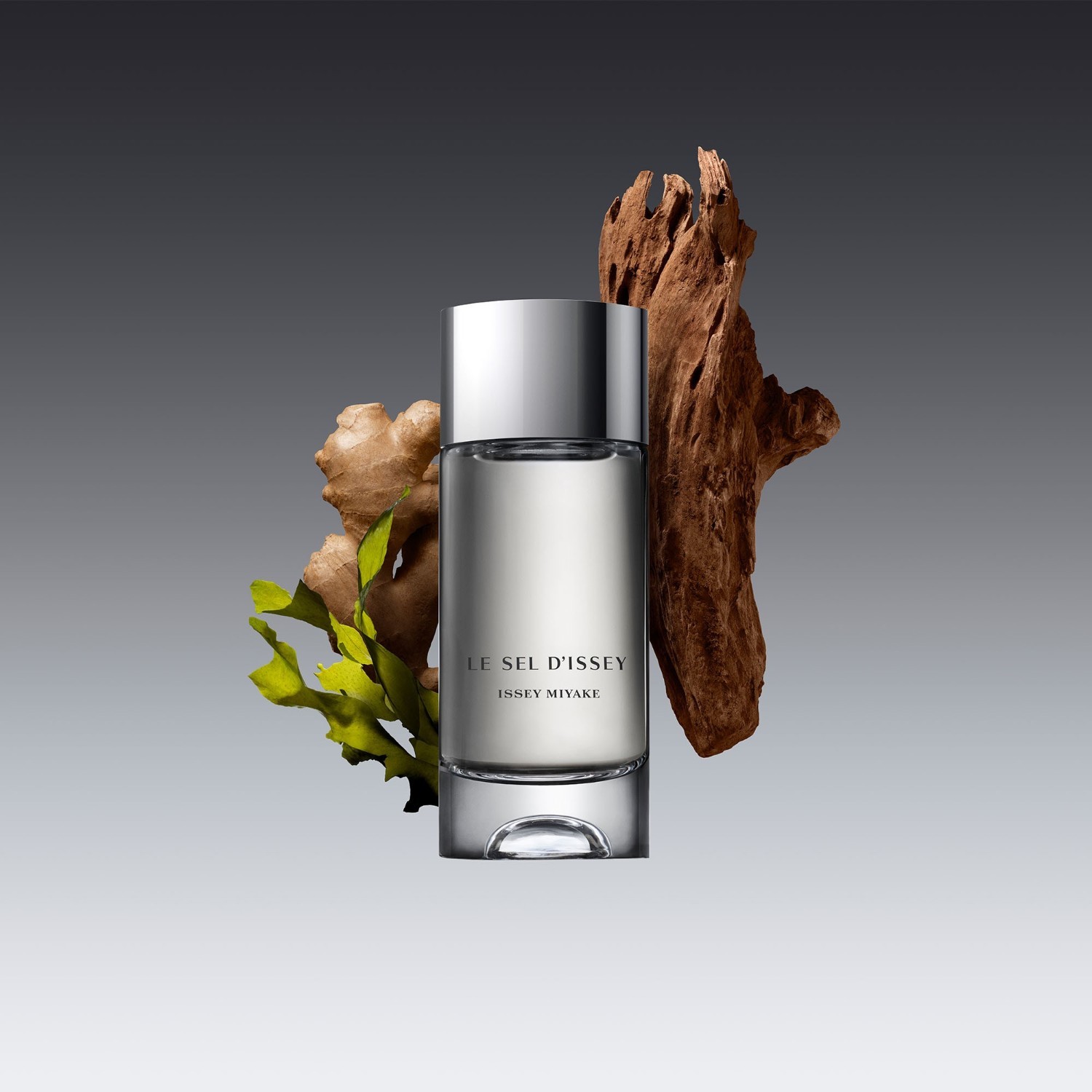 Issey Miyake toaletna voda Le Sel d'Issey za ponovno polnjenje - 50 ml