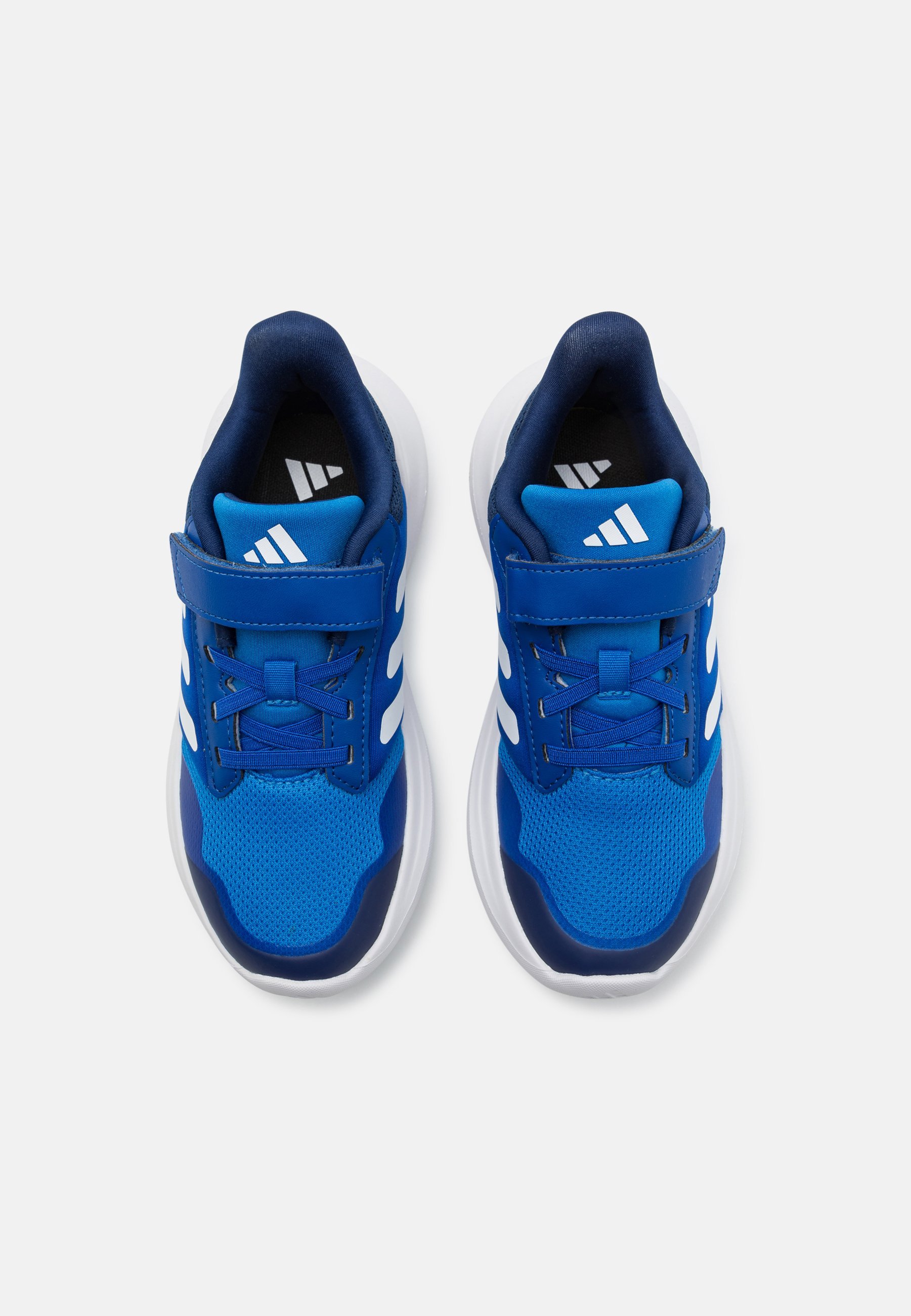 adidas Performance TENSAUR - Buty do biegania po drogach - jasny królewski/obuwie białe/ciemnoniebieski