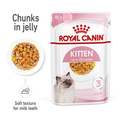 Royal Canin Kitten σε ζελέ
