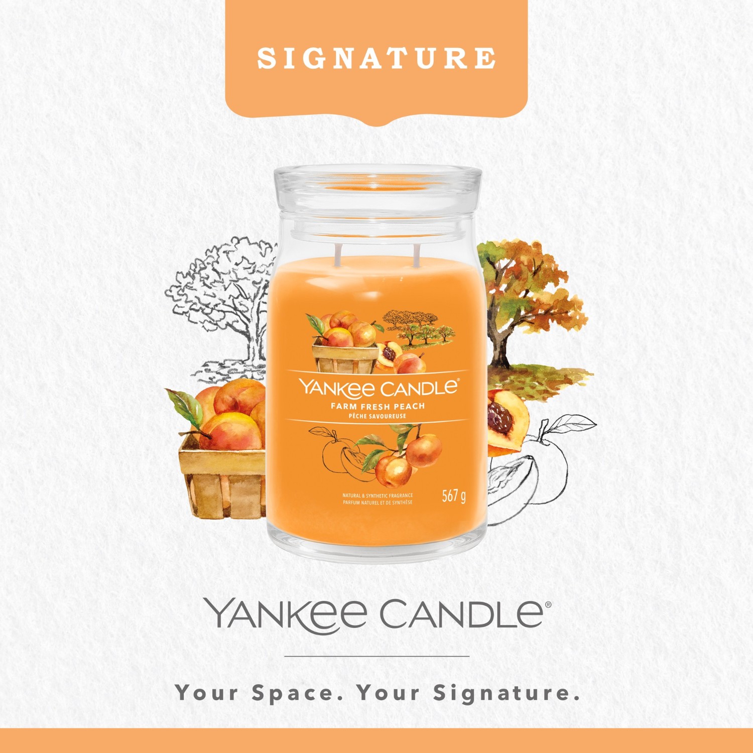YANKEE CANDLE Grande Jarre Pêche Savoureuse