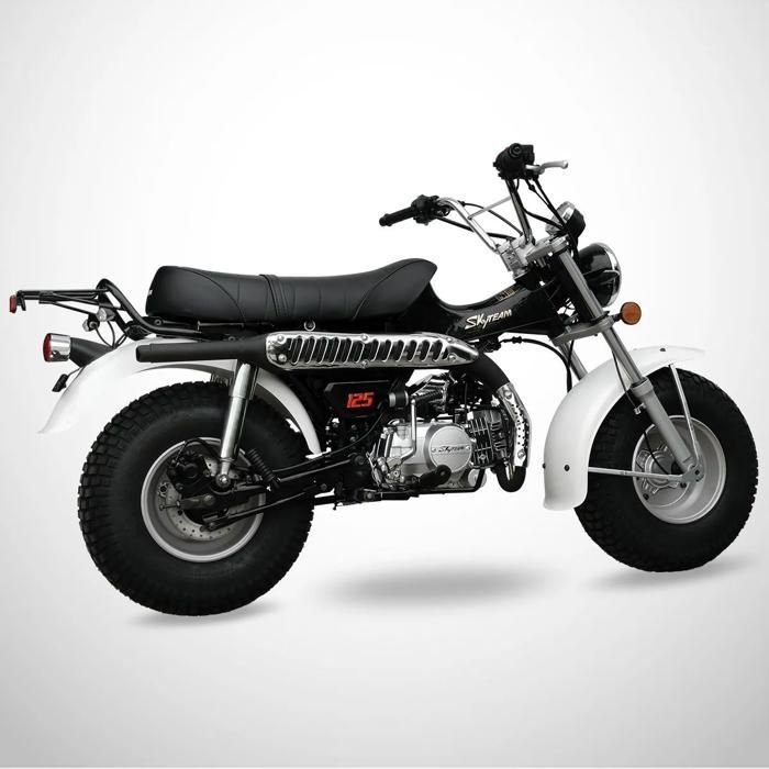 Mini Moto T-REX 125 SKYTEAM / Preto