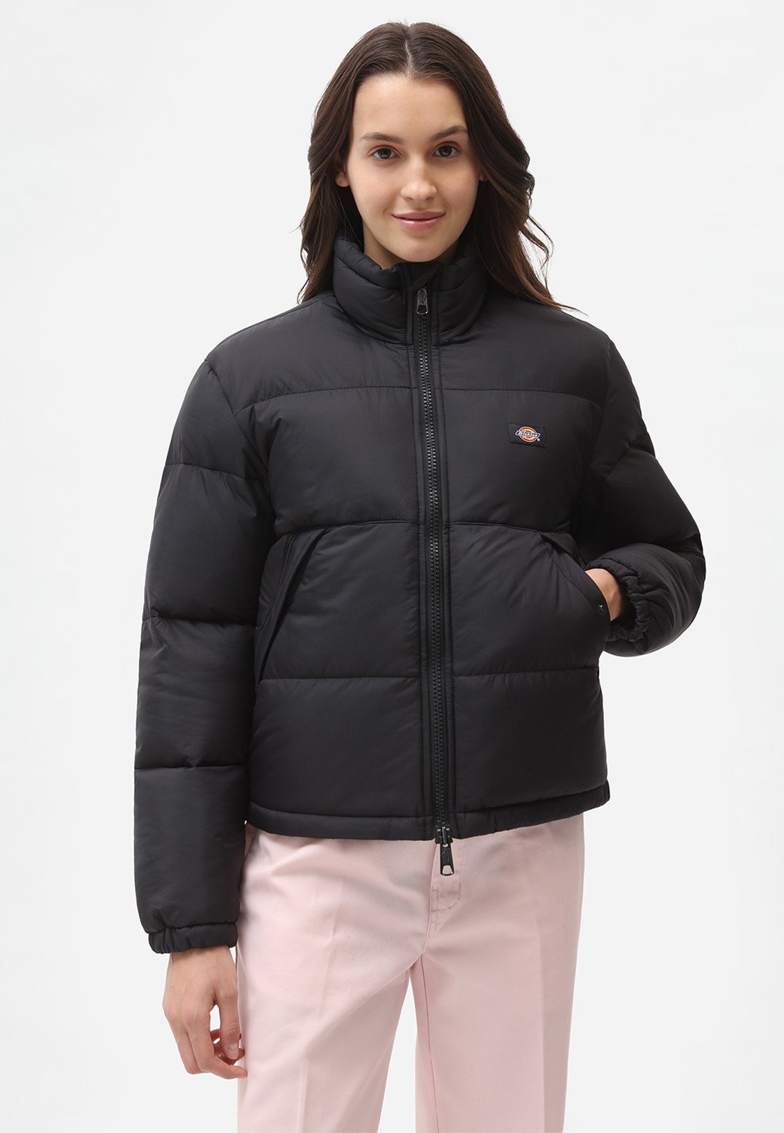 Giacche invernali Dickies