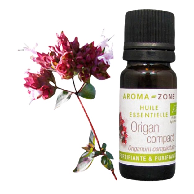 Bio-Oregano-Öl, Kompaktpackung, 10 ml