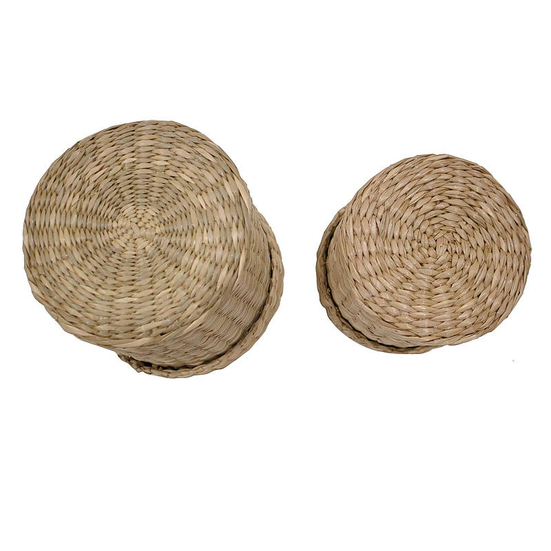 Cestino da casa con coperchio s/2 ø 12x10/10x10 cm alghe