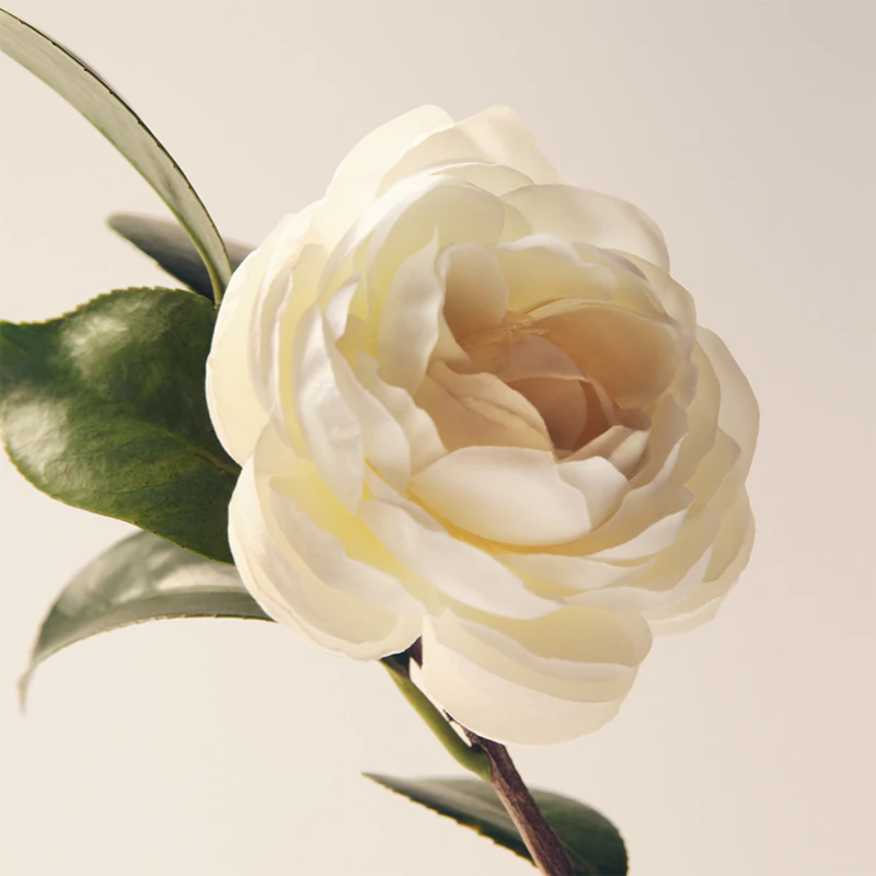Moroccooil L'Originale Eau de Parfum voor dames