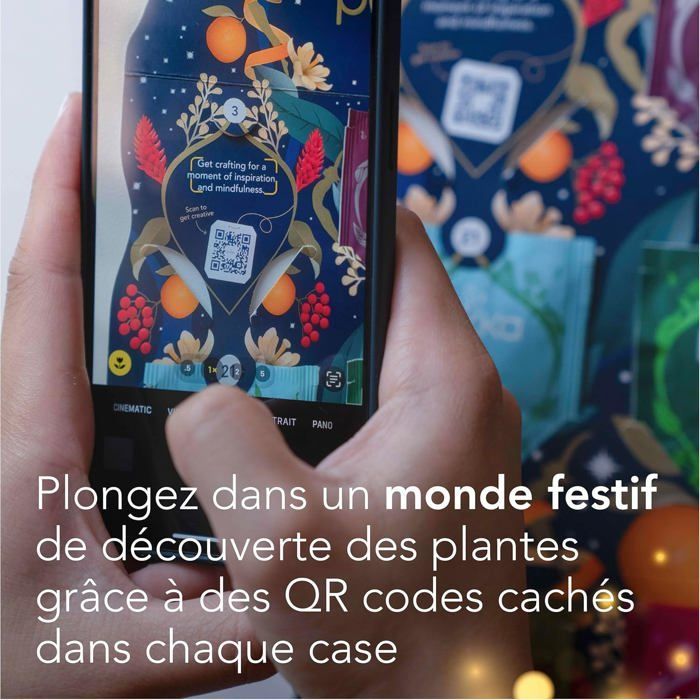 Pukka Calendrier de l'Avent