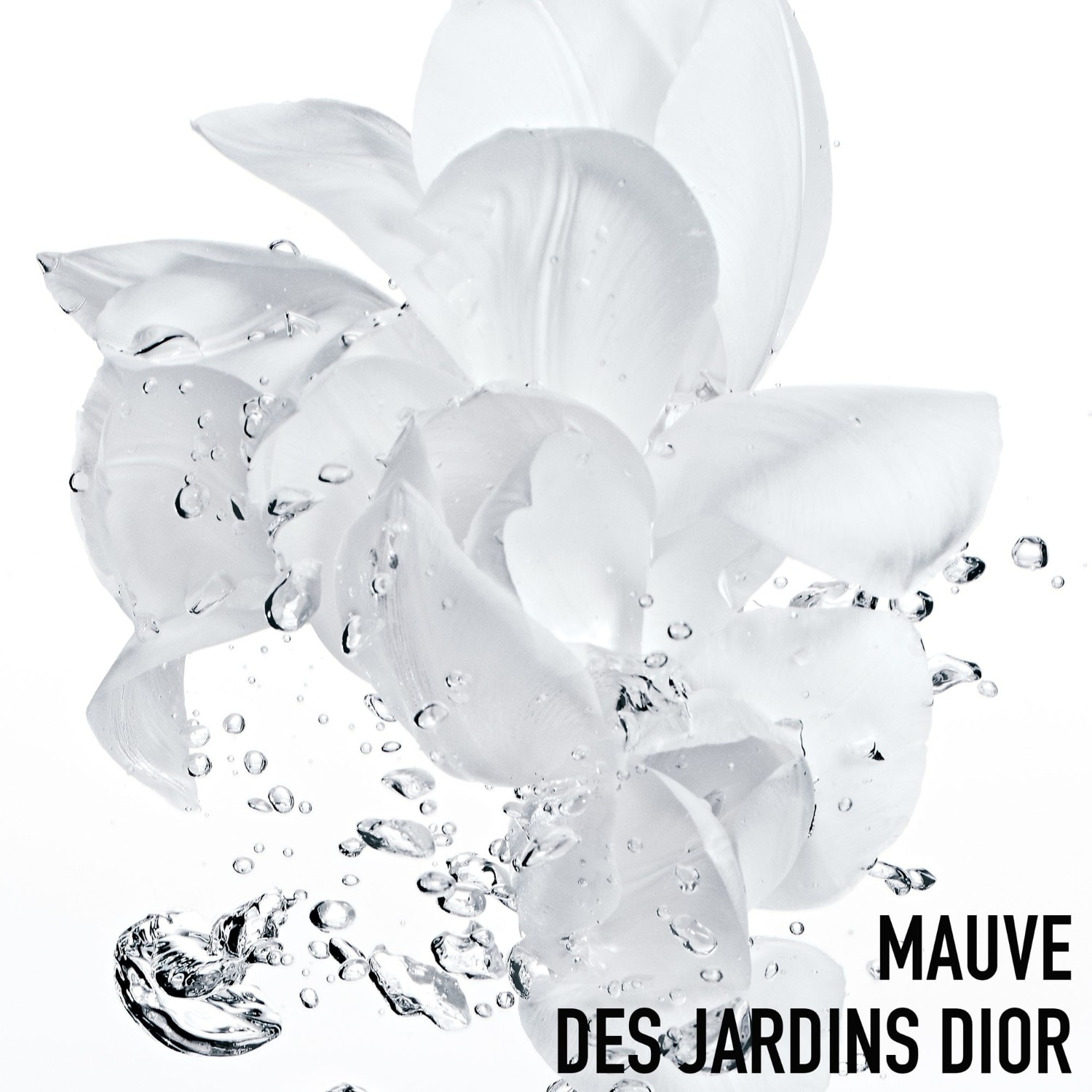 DIOR Crème Sorbet Fraîcheur - Crème hydratante