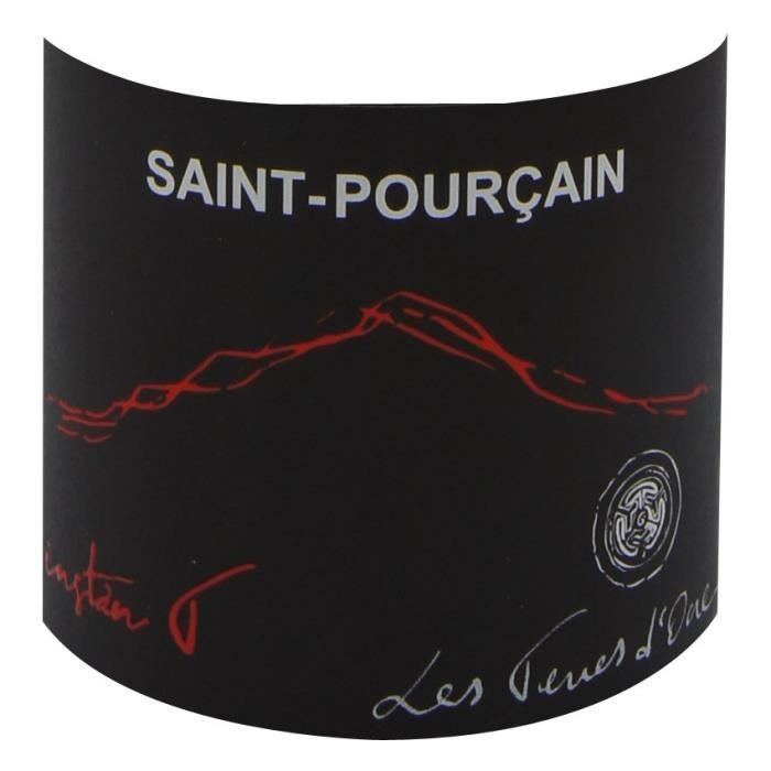Domaine Les Terres d'Ocre Cuvée L'Instan T 2023 Saint Pourçain - Vin rouge de Loire - Bio