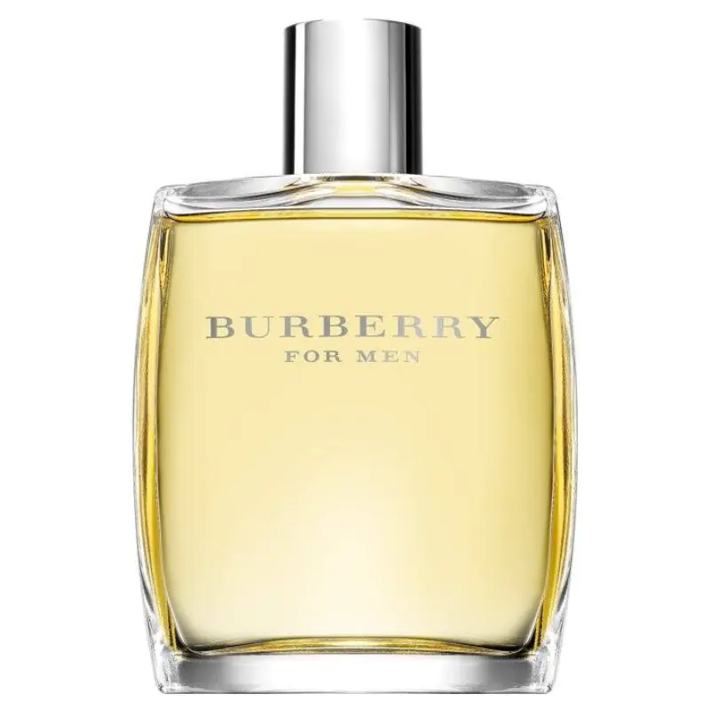 Burberry For Men Woda toaletowa dla mężczyzn, 100 ml