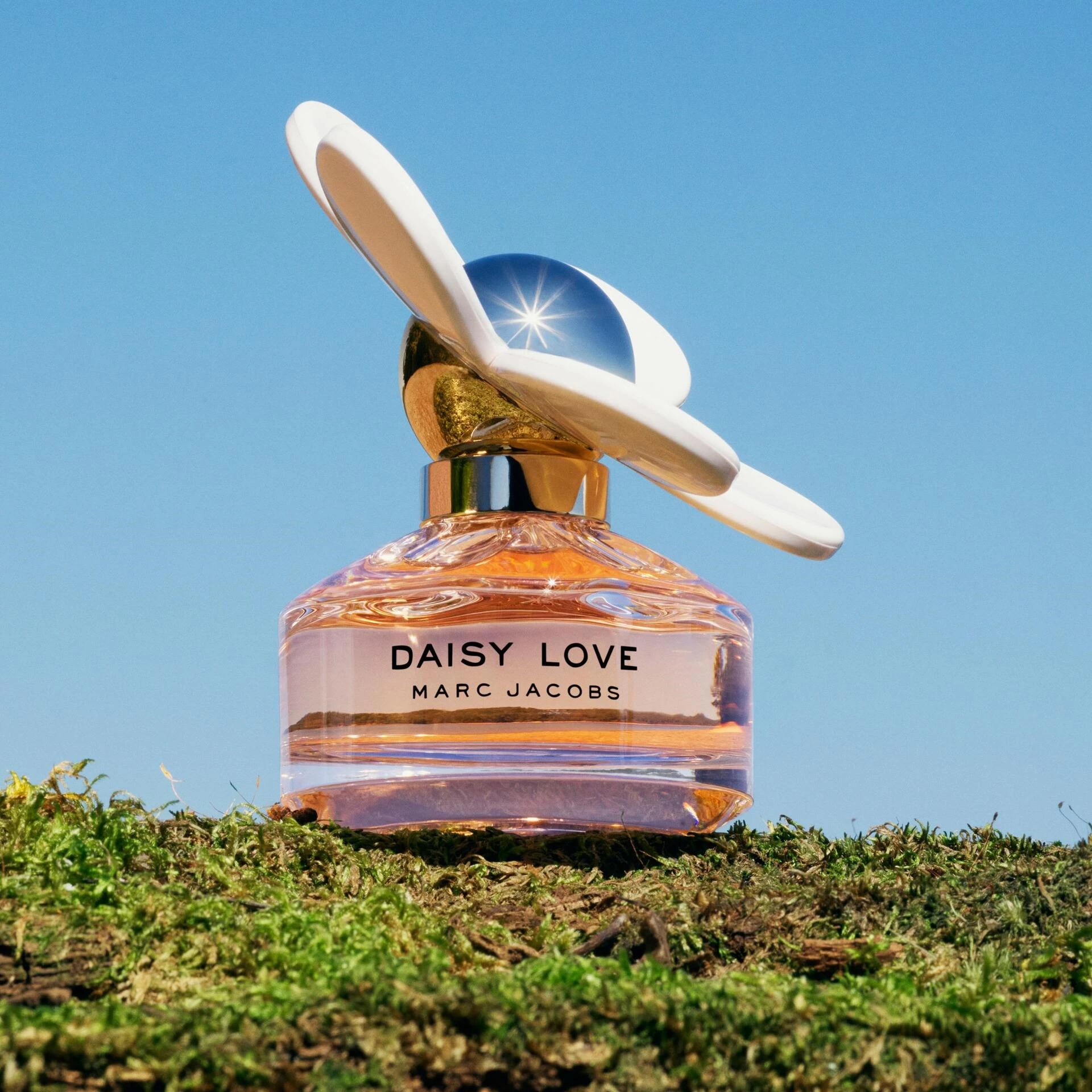 Daisy Love toaletna voda 30 ml - Marc Jacobs