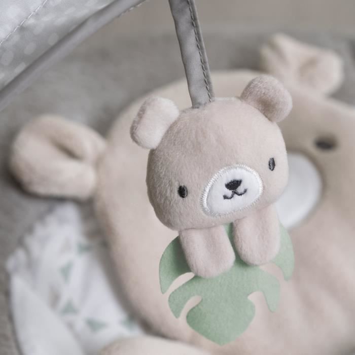 Sdraietta INGENUITY Baby Comfort Little Bear, arco attività luminoso, cuscino riduttore rimovibile, regalo per neonati