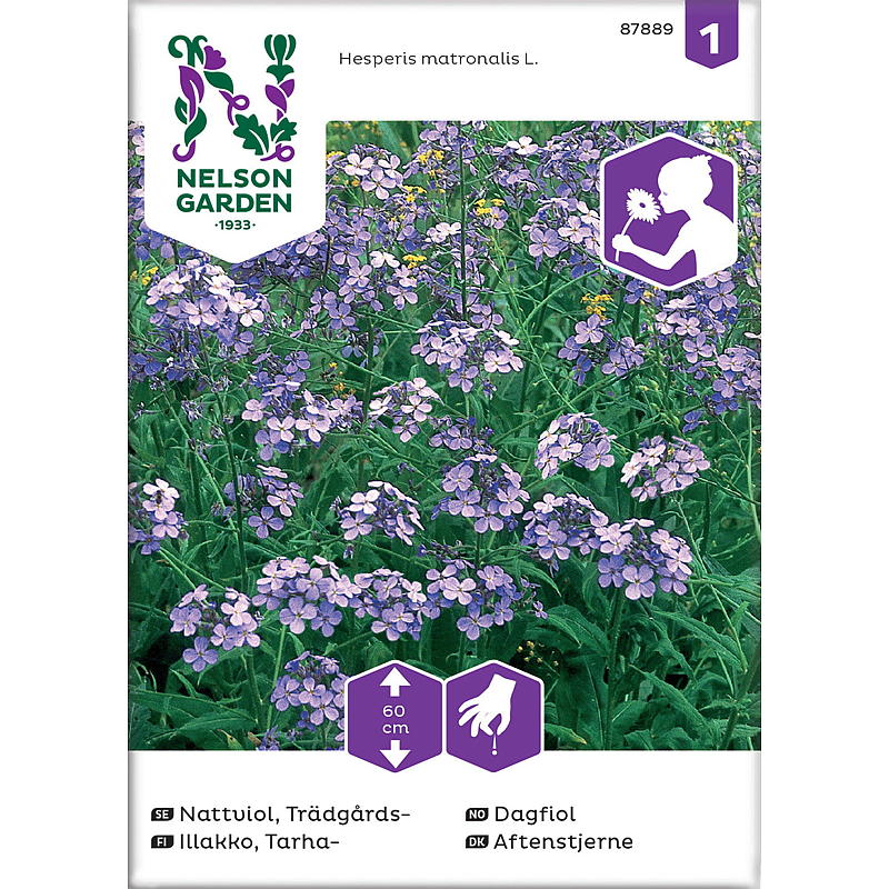 Nelson Gartensamen Taglilie Violett