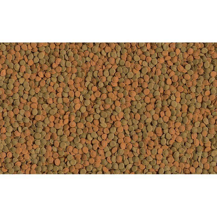 Alimento para peces y cangrejos bentónicos - TETRA - Mezcla TetraWafer - 2 obleas - Espirulina - Obleas sólidas