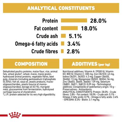 Royal Canin Γιορκσάιρ Τεριέ Ενηλίκων