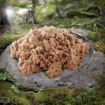 Wolf of Wilderness Voksen Classic 6 x 300 g