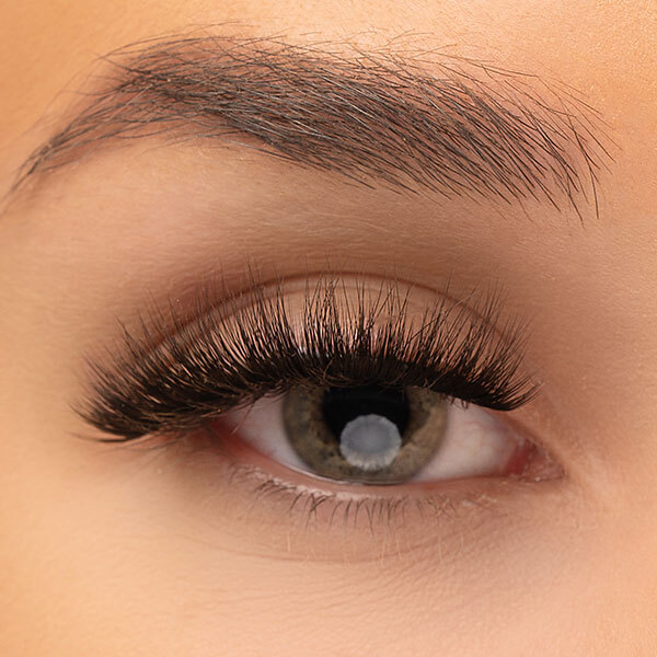Invogue Lash-jentekveld