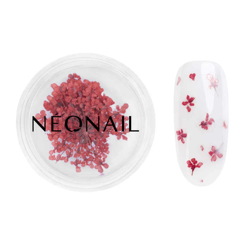 Neonail