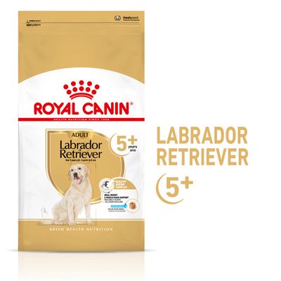 Royal Canin Labradorinnoutaja Adult 5+