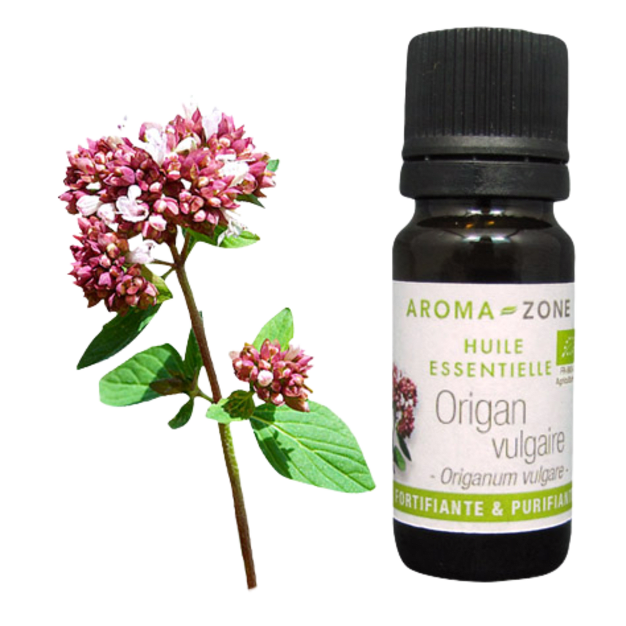 Huile essentielle Origan vulgaire BIO