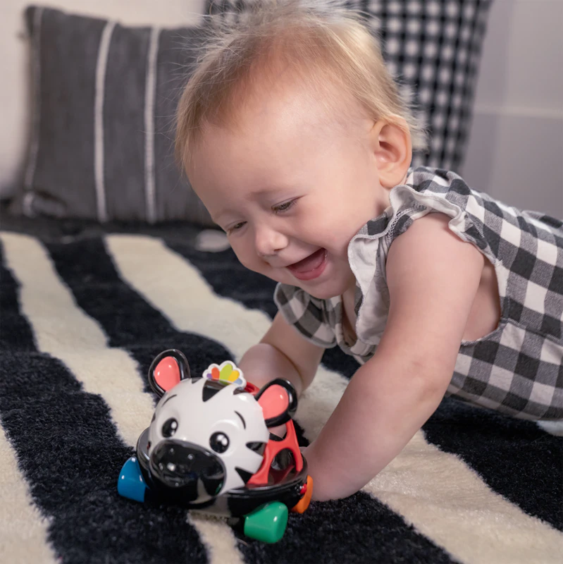 Carrinho curioso Baby Einstein Zen the Zebra™ com chocalho