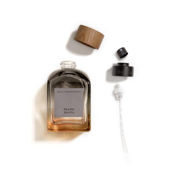 Адолфо Домингез Ебано Салвија