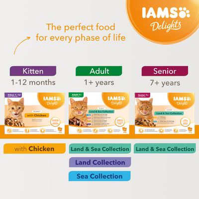 IAMS Delights Kitten – Csirke mártásban