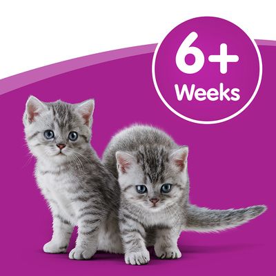 Latte per gatti Whiskas 6 x 200 ml
