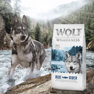 Wilk z Dzikiej Przyrody „Blue River” dla dorosłych – łosoś