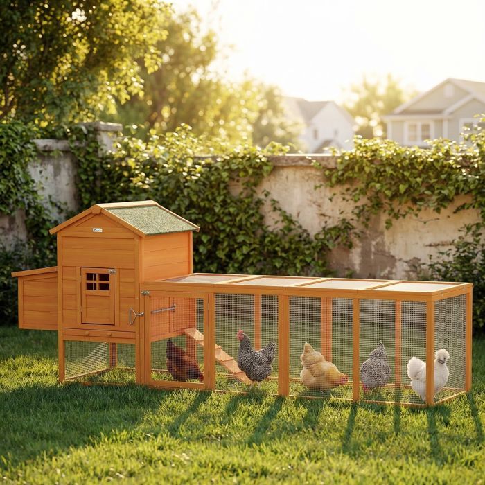Pollaio - PawHut - con nido, conigliera separata, porte multiple, vassoio rimovibile - per 3-6 galline - legno massello - arancione