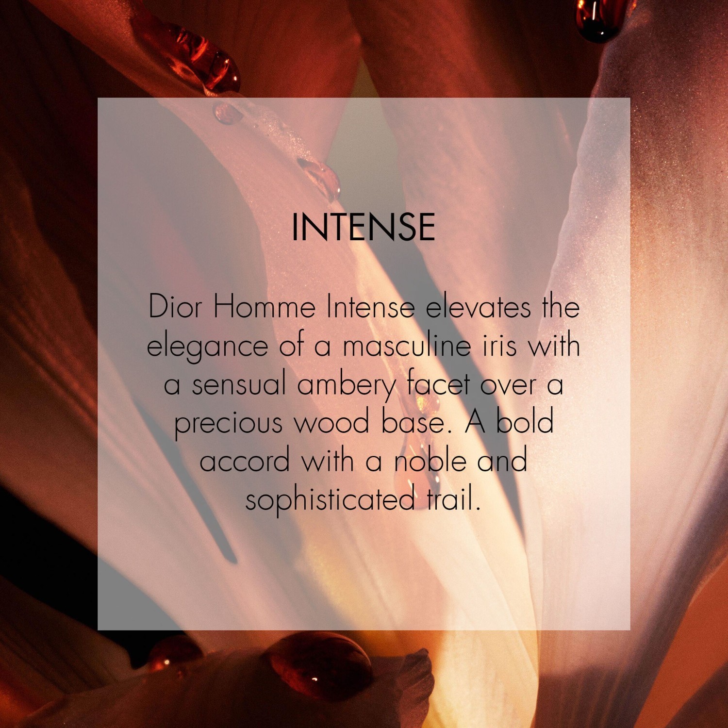 DIOR parfumūdens Dior Homme parfumūdens intensīvais - 50 ml