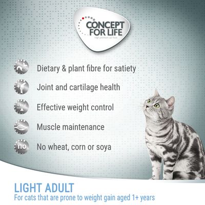 Concetto per Life Light Adult