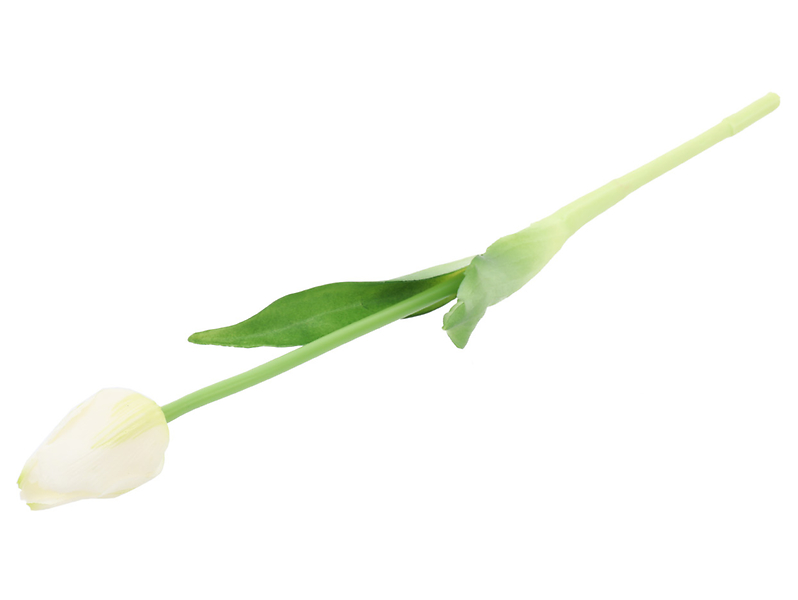 Tulipan pojedynczy gumowany biały