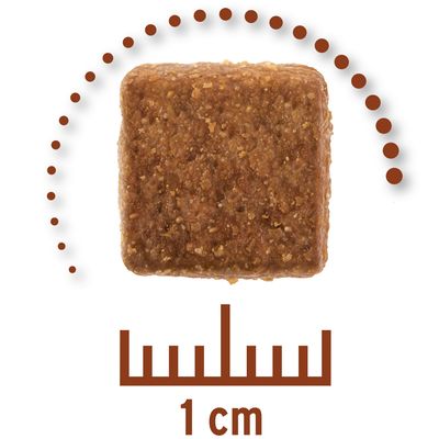 Concetto per la vita Dieta veterinaria gastrointestinale