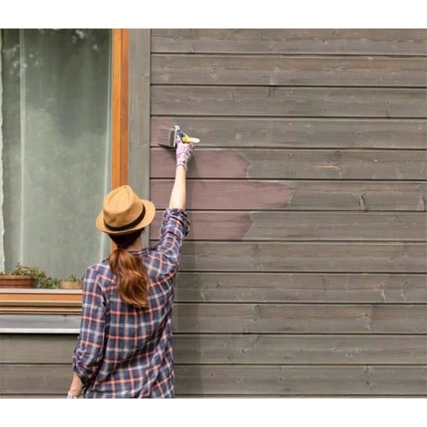 PEINTURE Teinte Rose naturelle écologique intérieur extérieur aspect mat Natura - 2.5L - 33m