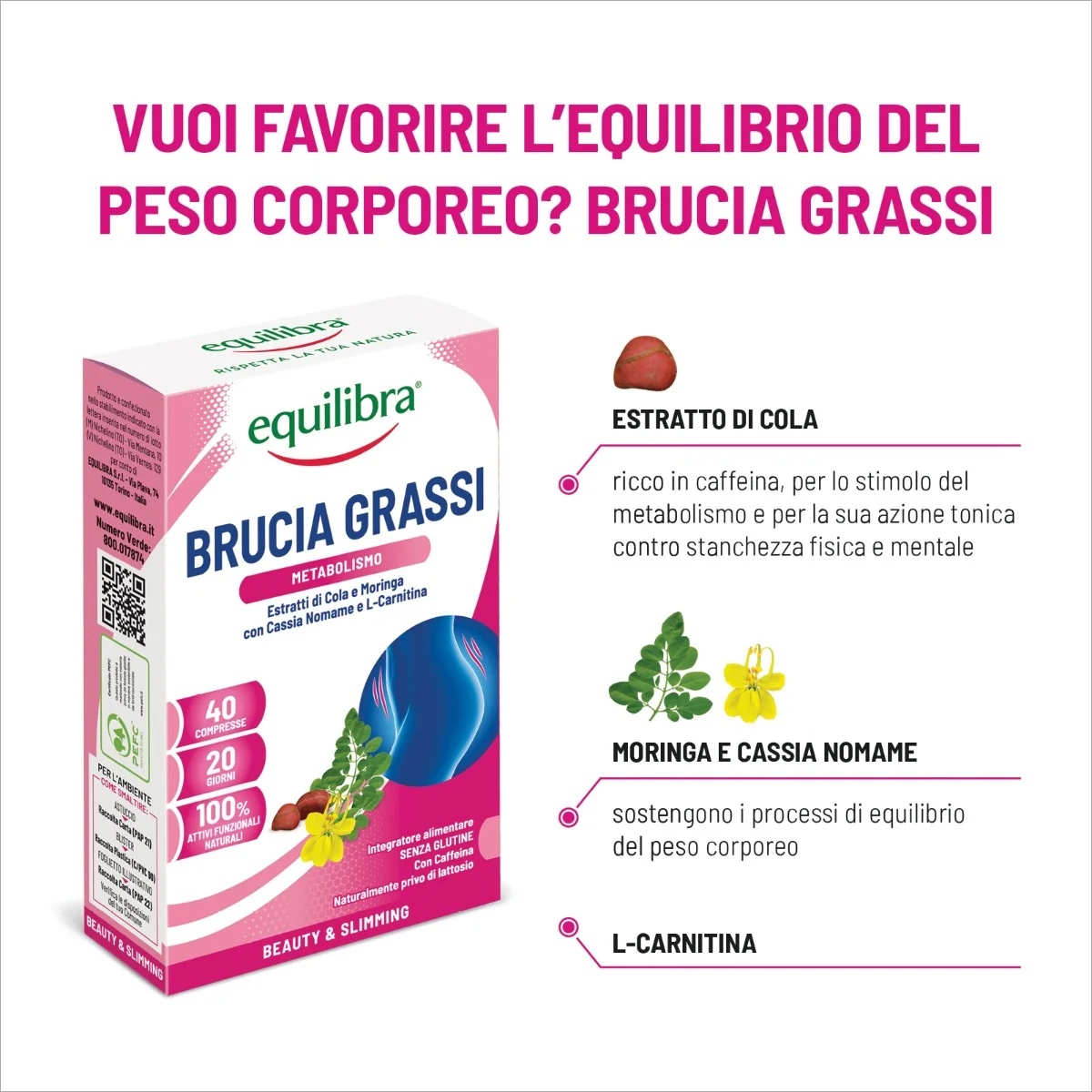 EQUILIBRA Equilibra Brûleur de graisse 40 capsules Complément alimentaire pour le contrôle du poids