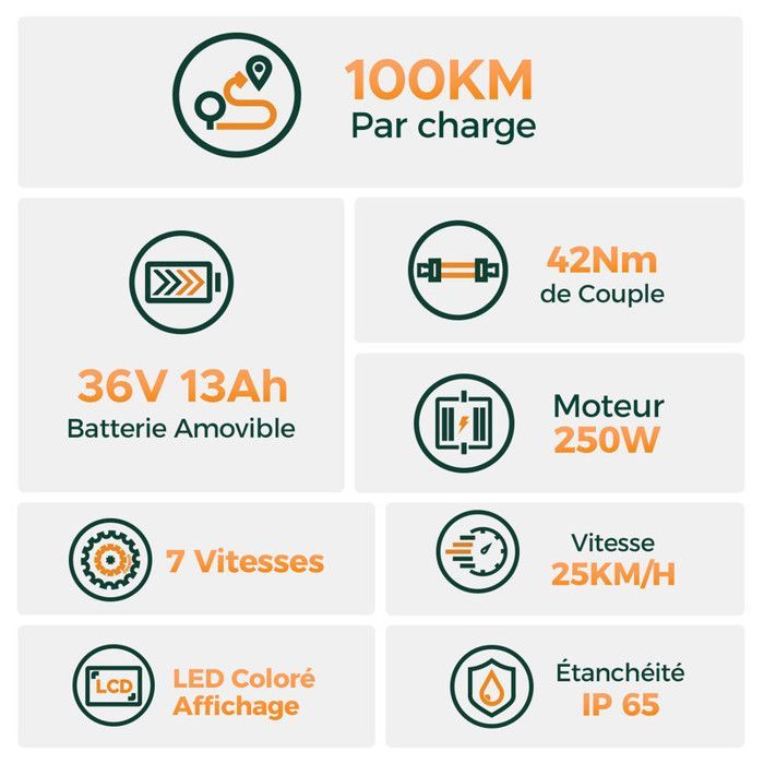 Bicicleta elétrica (bicicleta híbrida) - HILLMILES - Milecity 1 - Motor de 250W - Bateria removível de 36V 13Ah - Autonomia de 100km