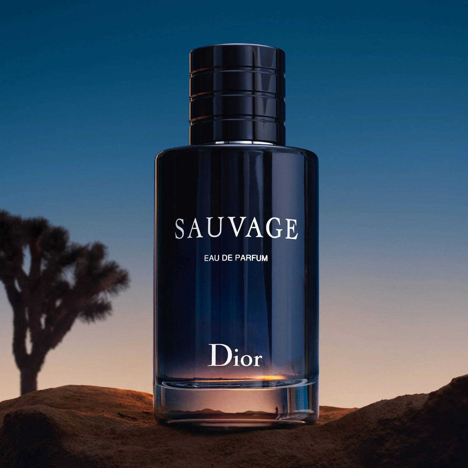 DIOR Notes hespéridées et vanillées