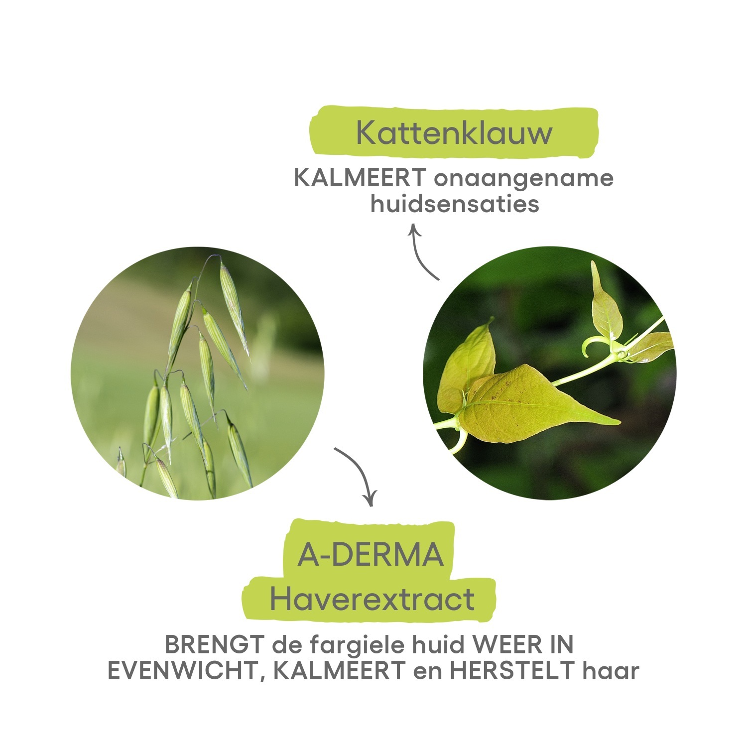 A-DERMA veido purškiklis CUTALGAN gaivinamasis purškiklis - 100 ml