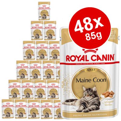 Royal Canin Breed våtfoder för katter, sparpaket 48 x 85 g