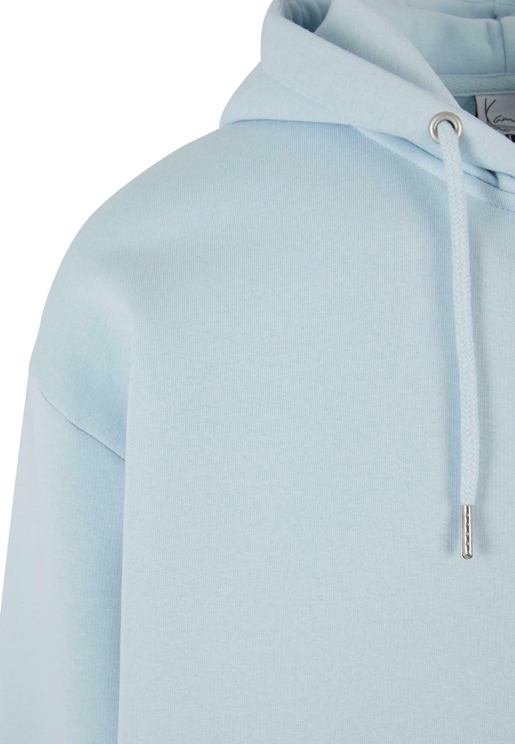 Karl Kani AUTHENTIC STAR LOGO OS - Sweatshirt mit Reißverschluss - hellblau