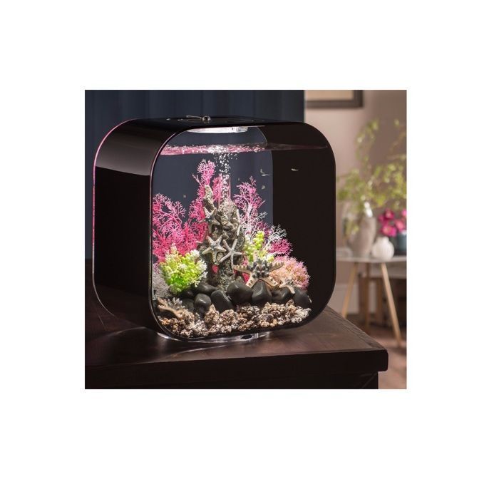 Oase Aquarium 30l contours noir - Life 30MCR black