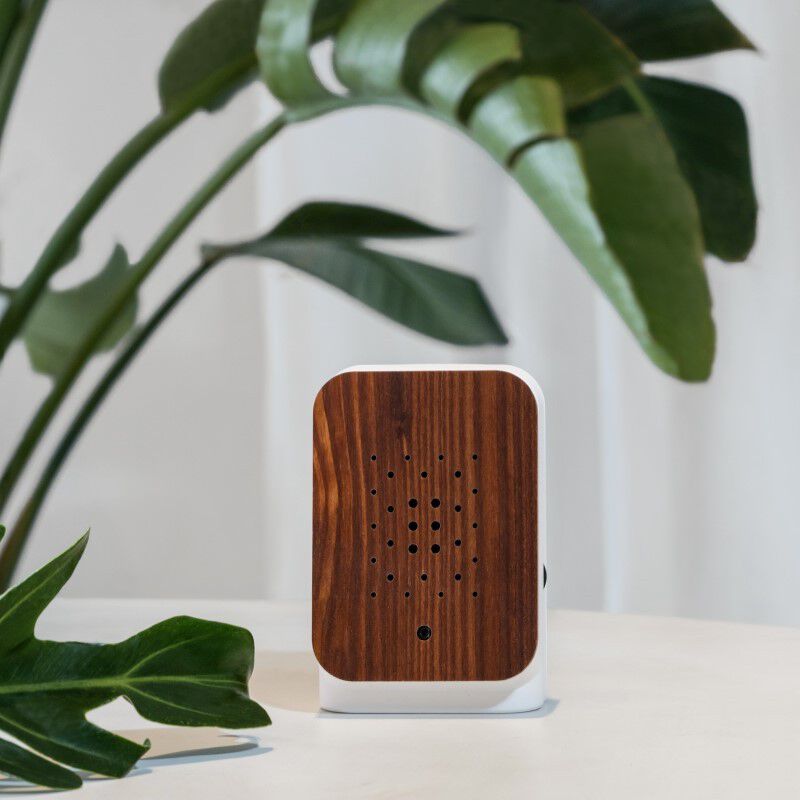 Relaxound Junglebox