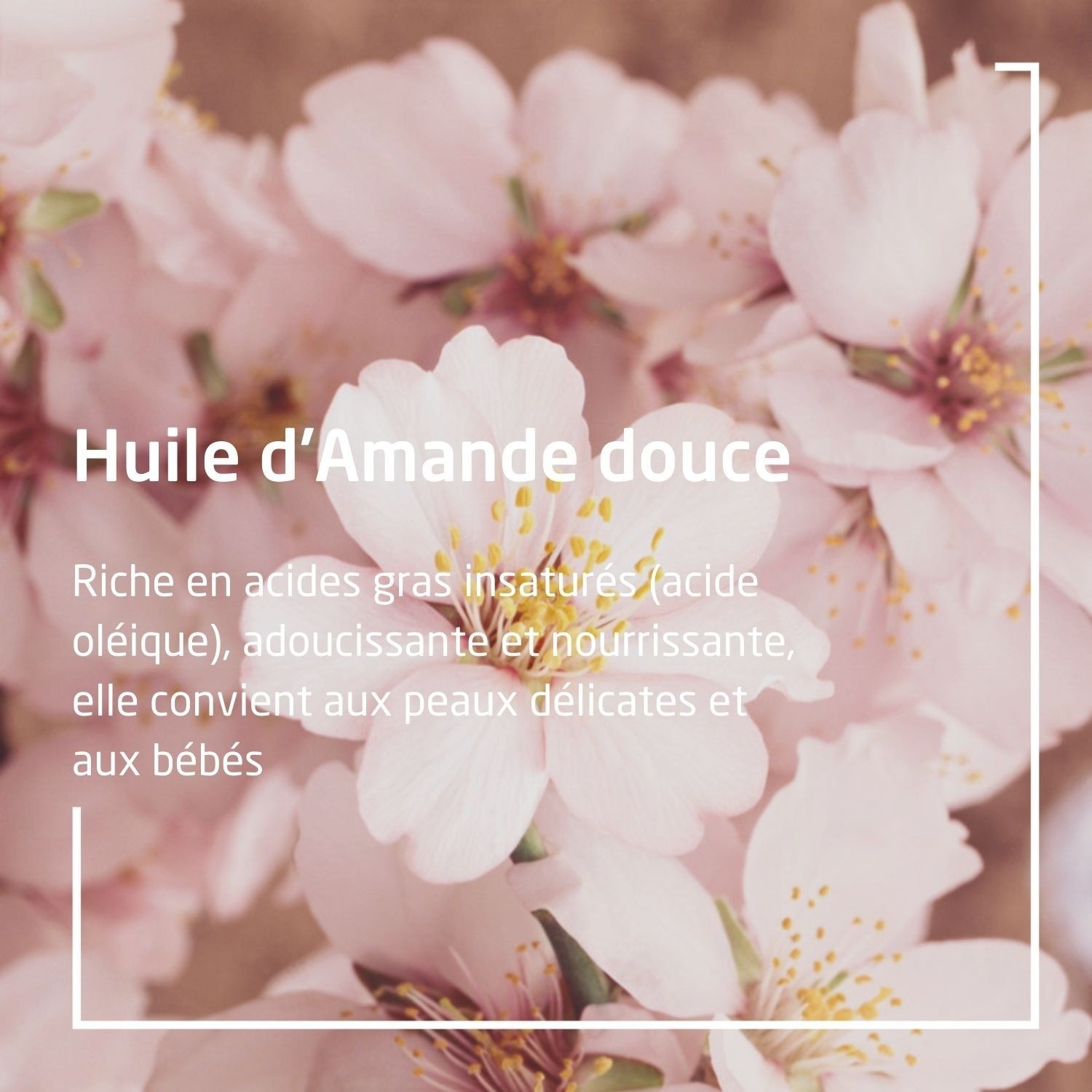 Weleda AMANDE Fluide Confort peaux sensibles -30 ml
