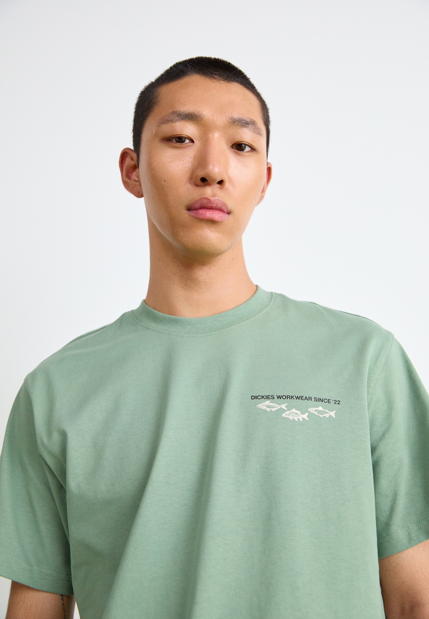 T-shirt stampate Dickies
